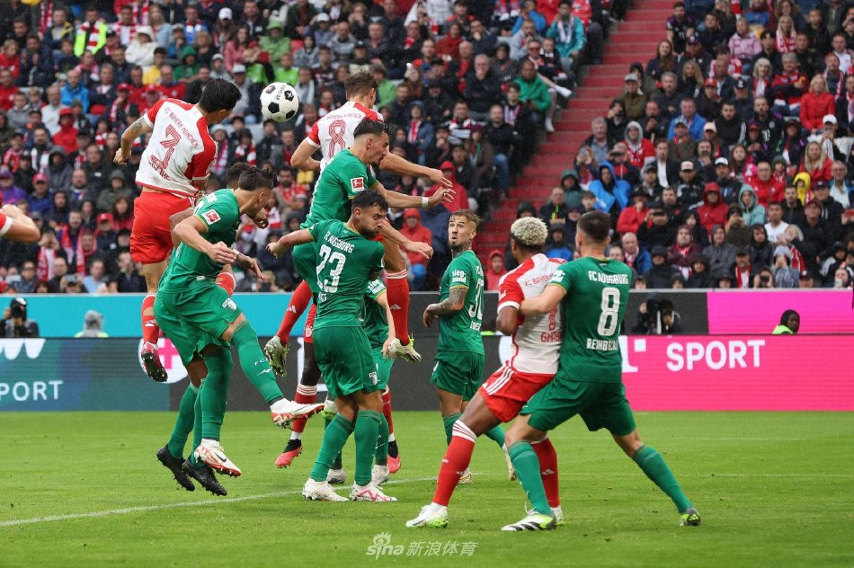 这无疑提升 这无疑提升